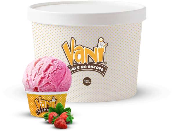 15-liter-Vani-Ice-Cream-Box-Fresa-comp