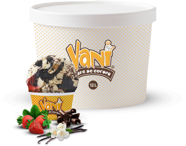 15-liter-Vani-Ice-Cream-Box-Napolitano-comp