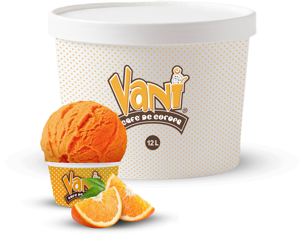 15-liter-Vani-Ice-Cream-Box-Naranja-comp