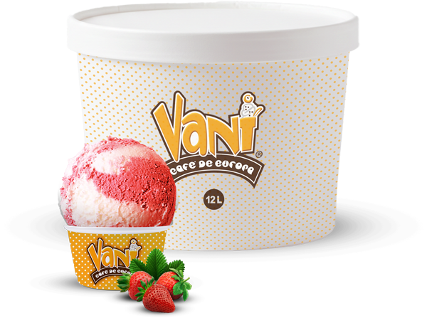 15-liter-Vani-Ice-Cream-Box-Q-Fresa-comp