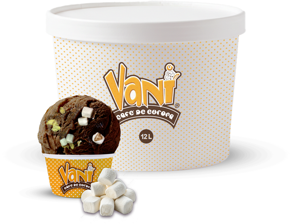 15-liter-Vani-Ice-Cream-Box-chocobom-comp