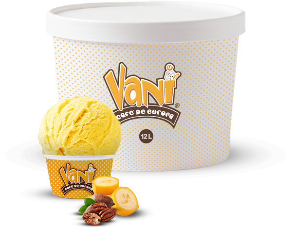 15-liter-Vani-Ice-Cream-Platano-Nuez-comp