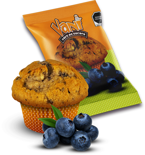 Blueberry-Muffin