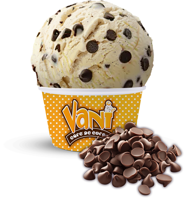 Vani-Helado-Choco-Chip-comp