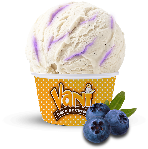 Vani-Helado-Queso-mora-comp
