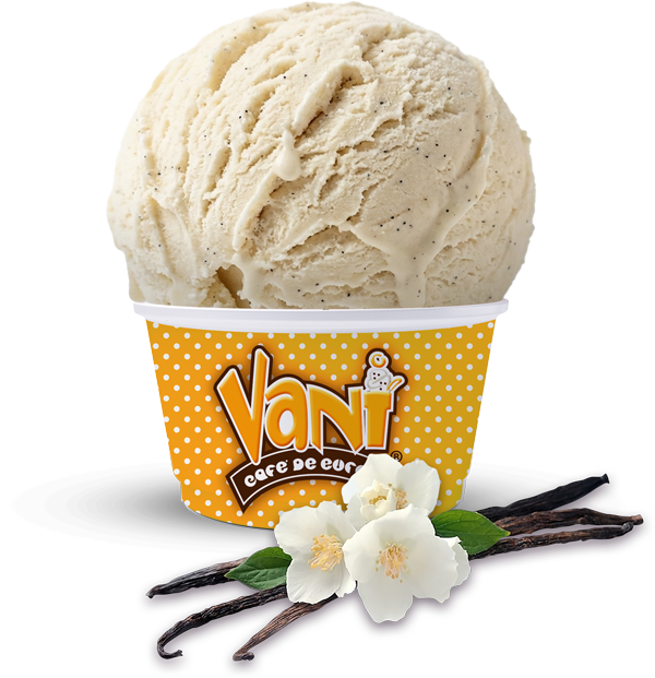 Vani-Helado-Vainilla-comp