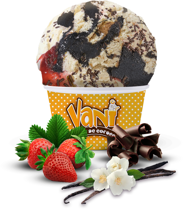 Vani-Helado-napolitano-comp