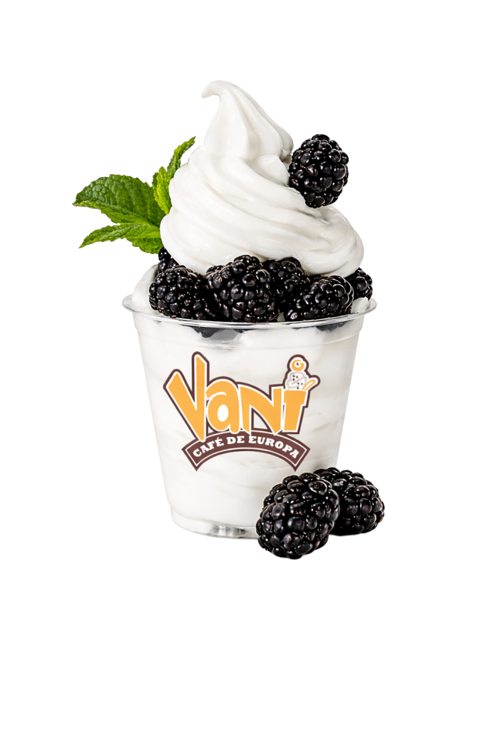 Vani-Yogur-Natural